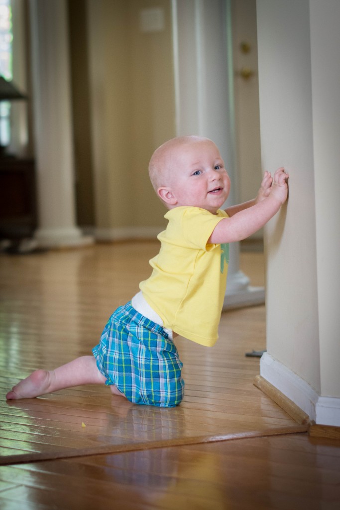 This kid pulls up on everything. He's standing for longer solo (until he realizes he has no help...then he freaks out and falls).