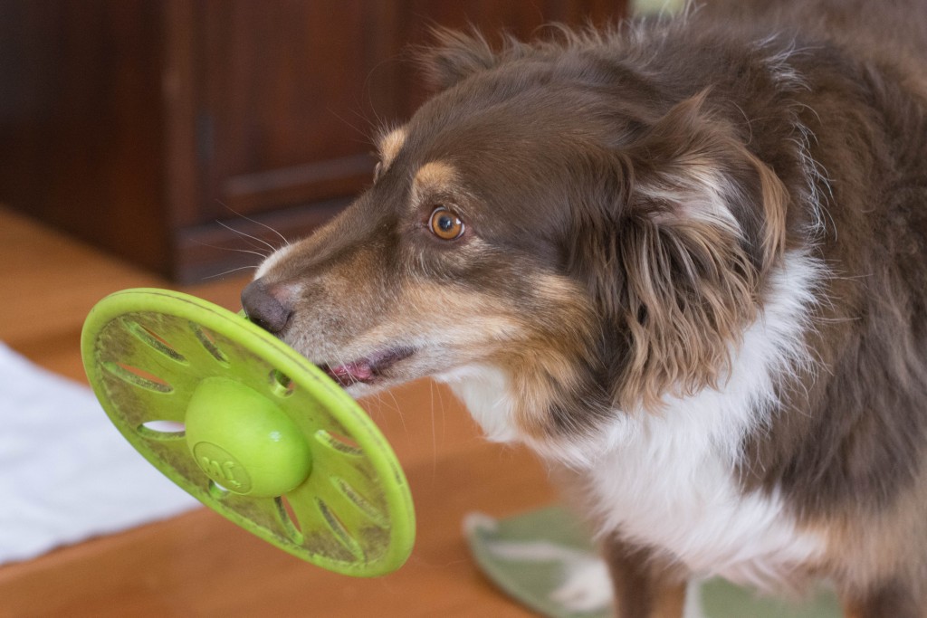 Darcy wanted Liam to play with her.