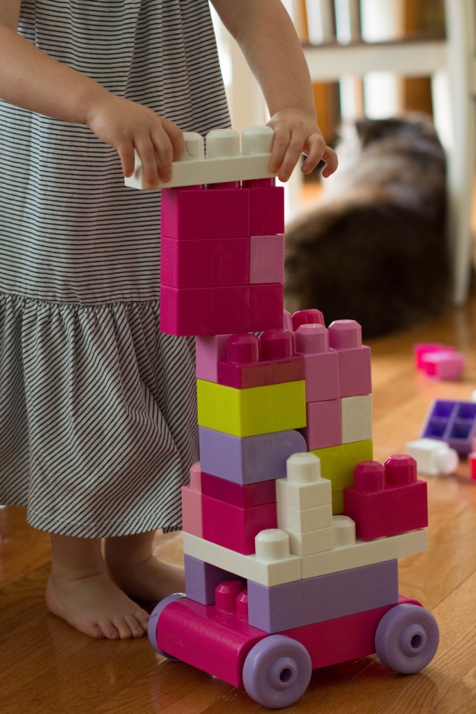 20150625-DSC_9083-11