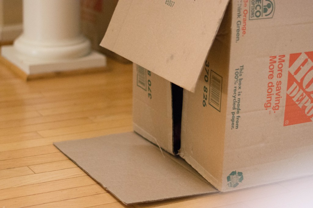 I promise Emma is in there.