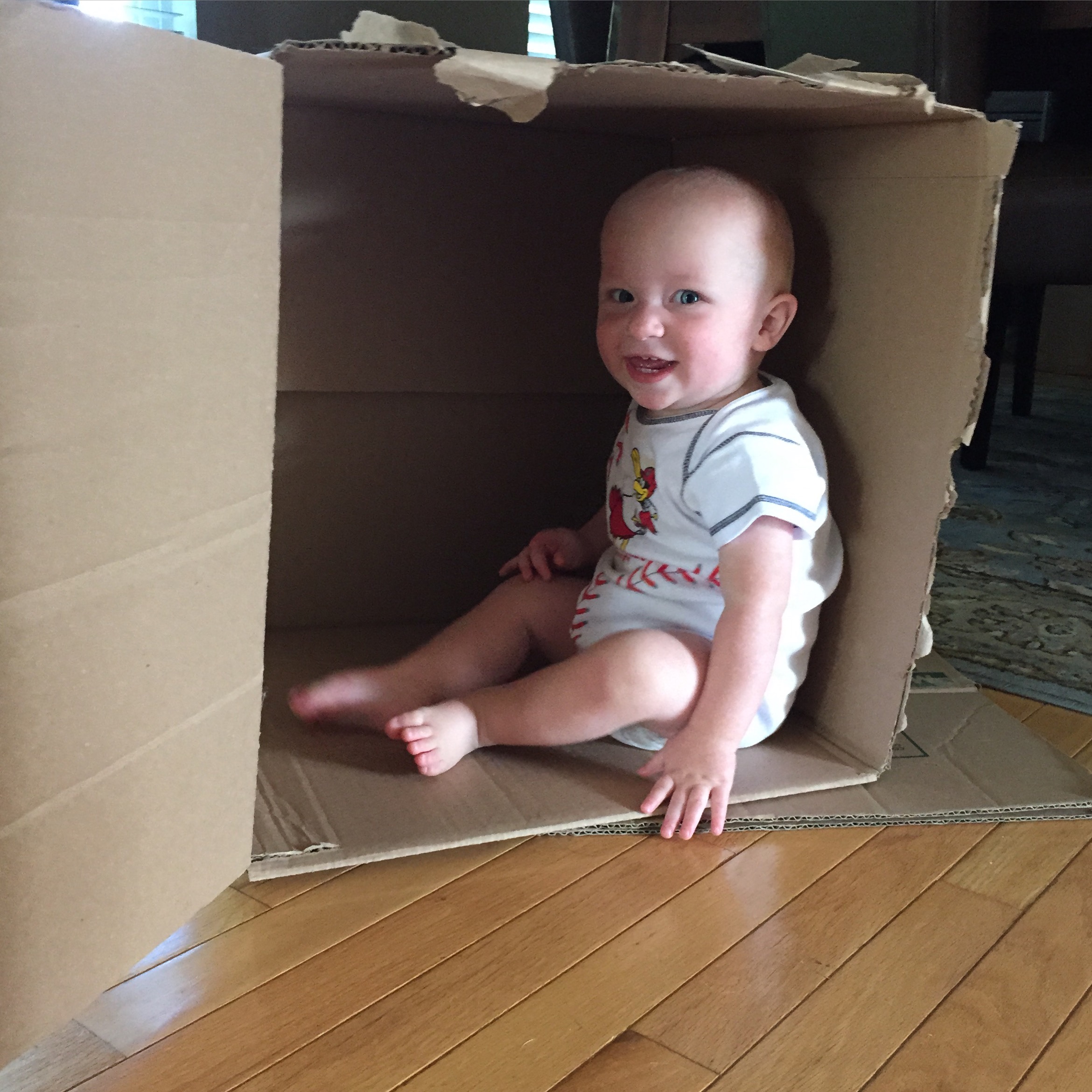 And this boy spent a good portion of the afternoon while Emma napped playing in boxes.